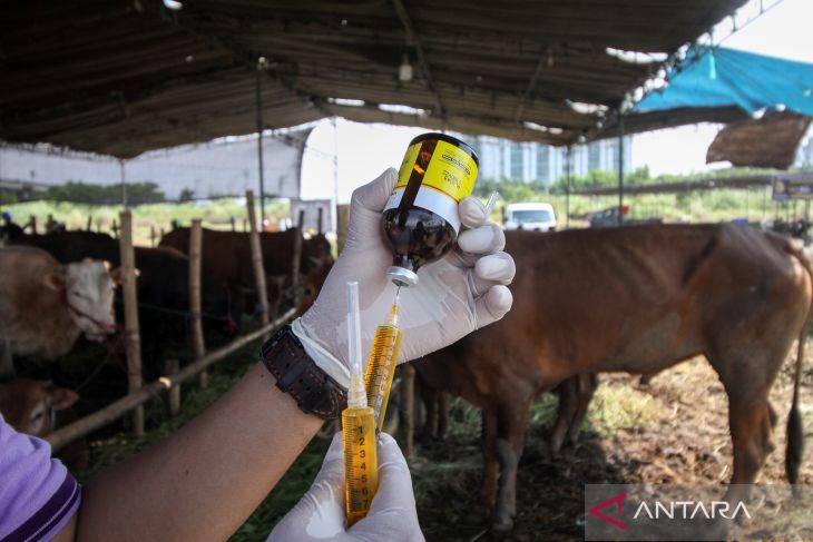 Vitamin untuk hewan ternak