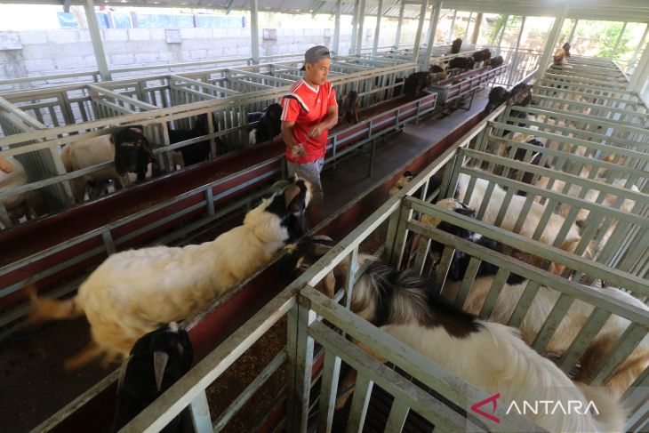 Penjualan kambing secara daring