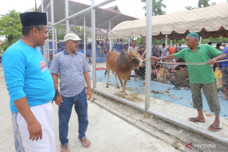 Penyembelihan hewan kurban Idul Adha