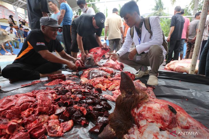 Penyembelihan hewan kurban Idul Adha