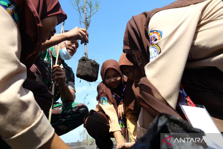 Gerakan tanam pohon cemara  di Pantai Cemara