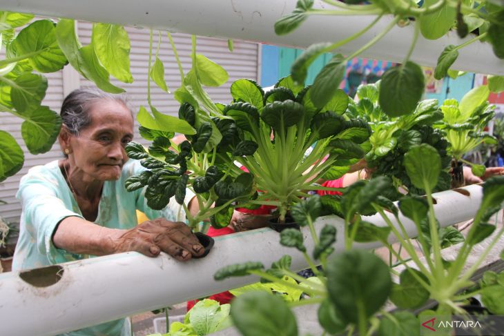 Upaya menjaga ketahanan pangan dengan urban farming