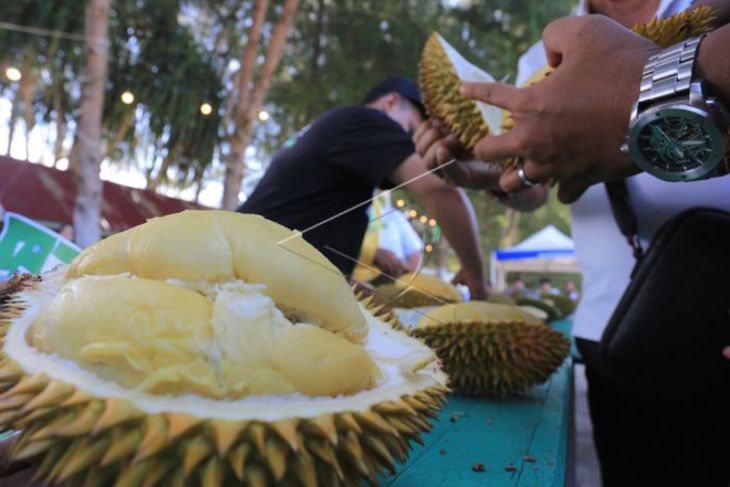 Festival Dan Lomba Durian Di Aceh