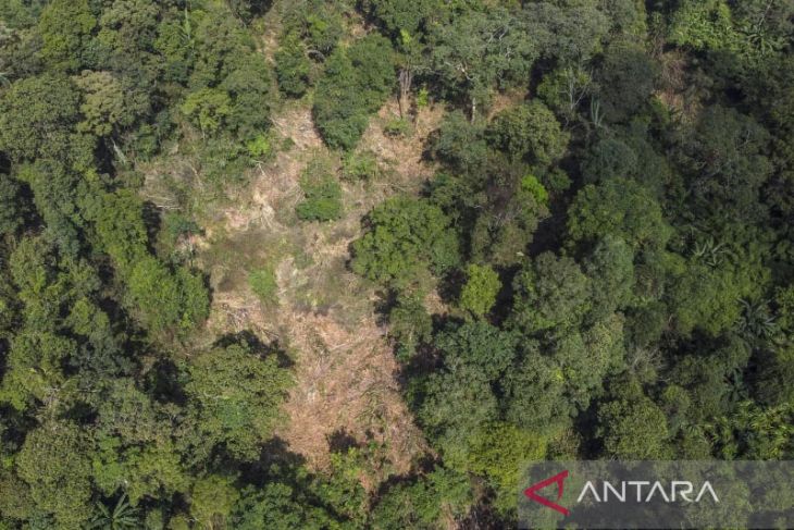 Pembalakan liar di gunung Cakrabuana 