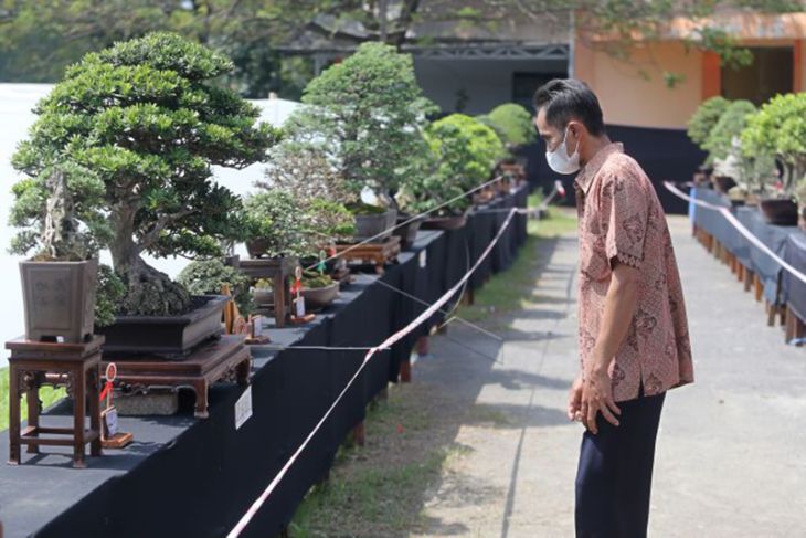 Pameran Bonsai Tingkat Nasional