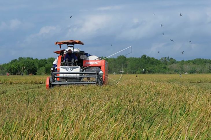 Pemanfaatan teknologi mesin pemanen padi