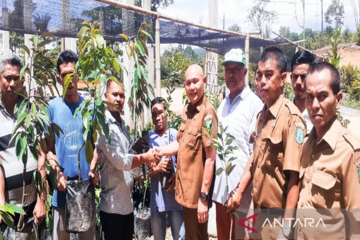 Delapan kelompok tani dapat bantuan bibit buah dari Dinas Pertanian Madina