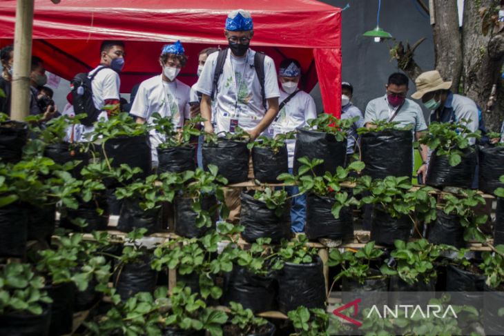 Kunjungan delegasi Urban 20 ke kebun Buruan Sae 