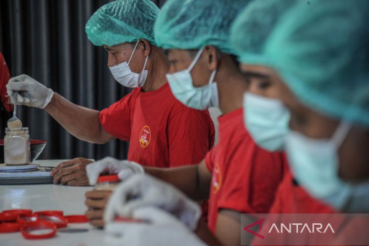 Produksi minuman olahan jahe merah 