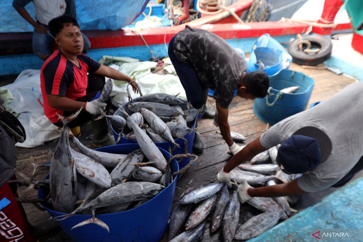 Produksi ikan tuna