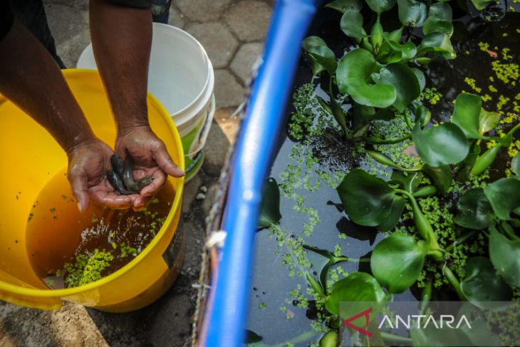 Sekolah Kang Pisman di Bandung 