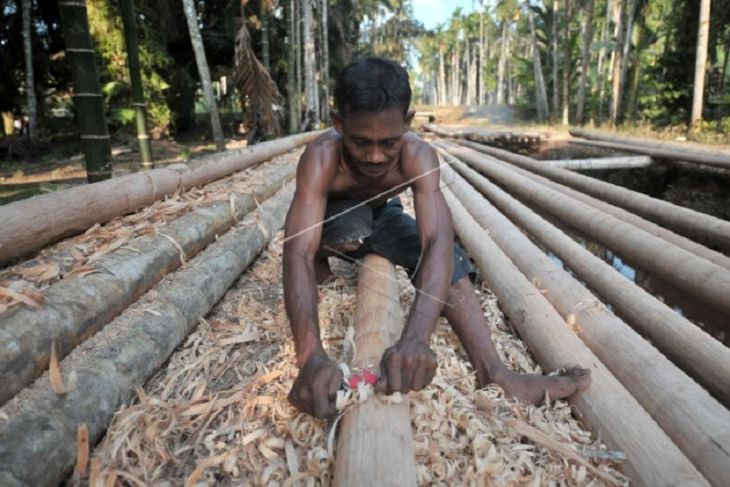 Permintaan batang pinang jelang HUT Kemerdekaan