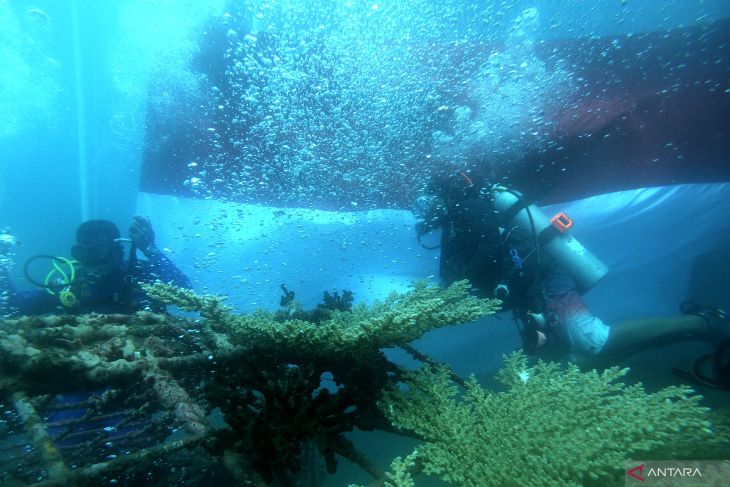 Pengibaran bendera Merah Putih di bawah laut Banyuwangi