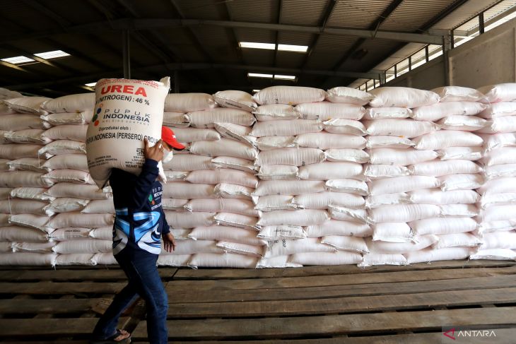 Saatnya revitalisasi tata kelola pupuk bersubsidi