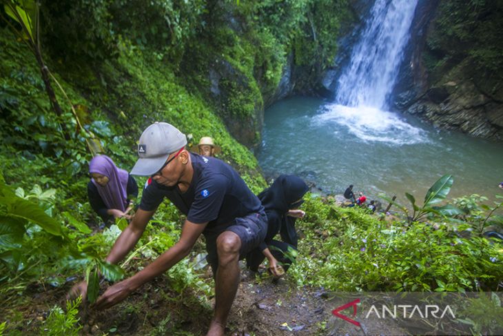 Penanaman Bibit Kopi di Lokasi Wisata Air Terjun Haratai