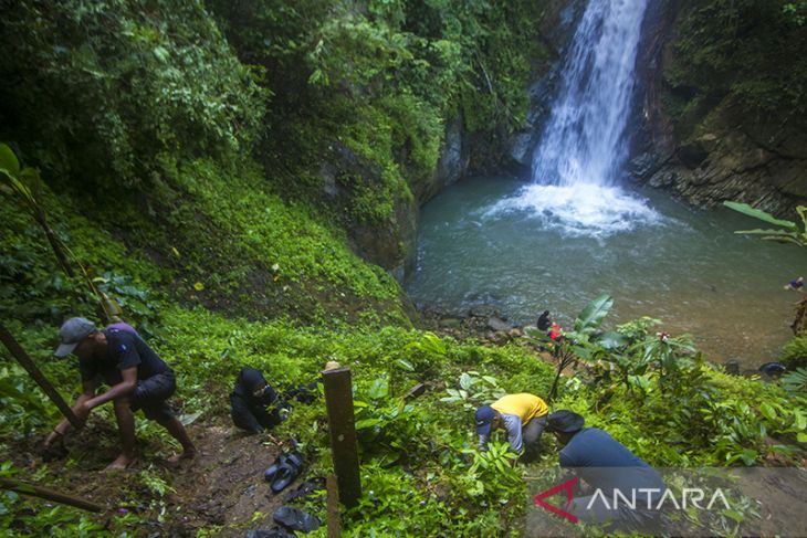 Penanaman Bibit Kopi di Lokasi Wisata Air Terjun Haratai