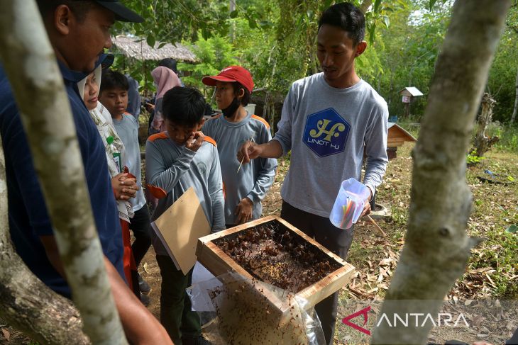 Edukasi budidaya lebah madu untuk pelajar di Aceh Besar