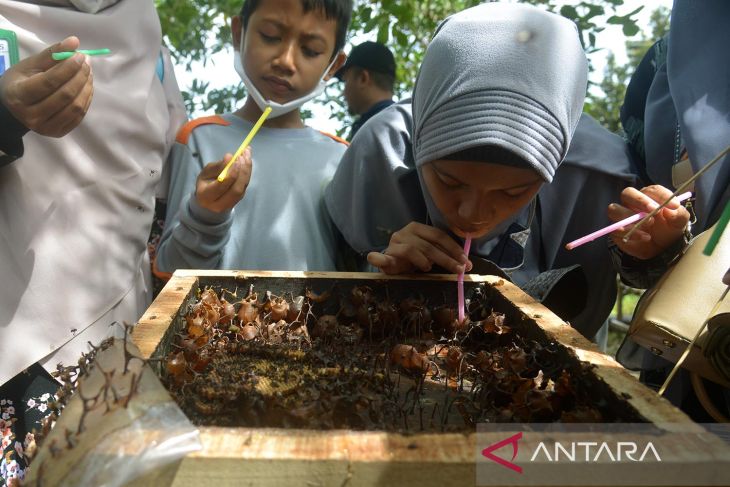 Edukasi budidaya lebah madu untuk pelajar di Aceh Besar