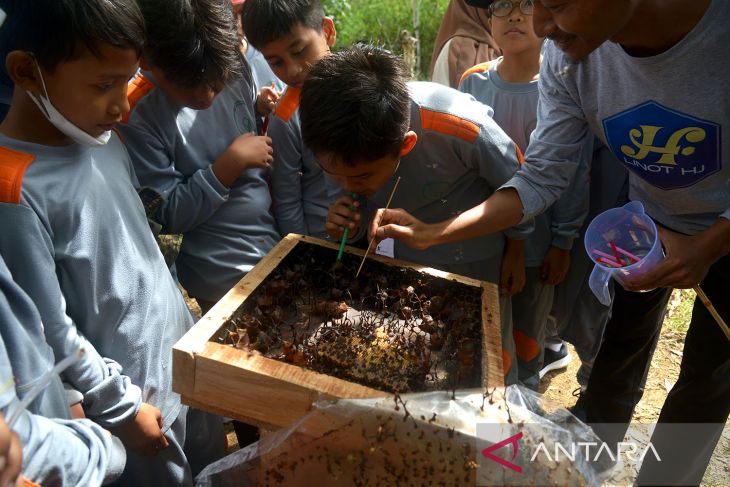 Edukasi budidaya lebah madu untuk pelajar di Aceh Besar