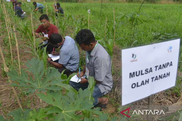 Pelatihan petani sebagai kader udara bersih Indonesia