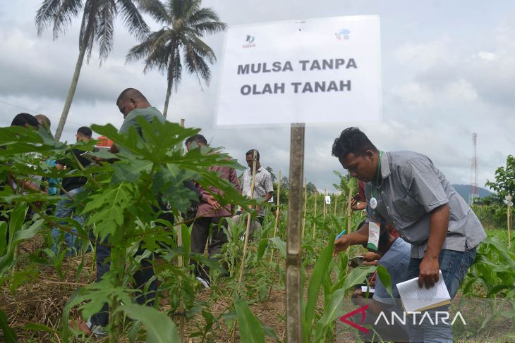 Pelatihan petani sebagai kader udara bersih Indonesia