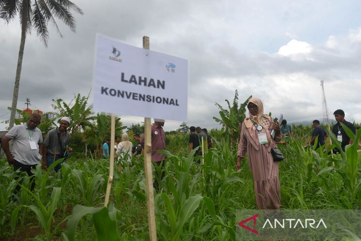 Pelatihan petani sebagai kader udara bersih Indonesia