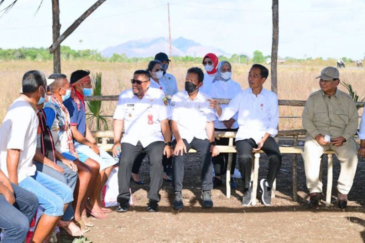 Presiden Jokowi jawab peternak kerbau di Pulau Moa Maluku Barat Daya, langsung bangun embung air