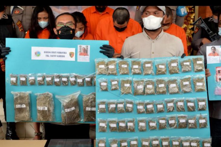 Polresta Denpasar tangkap pengedar narkoba