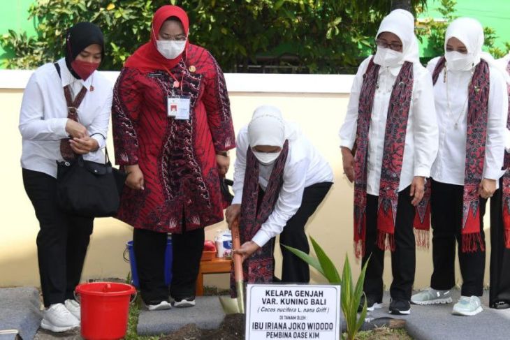 First Lady distributes basic needs, plants trees in Sragen, C. Java