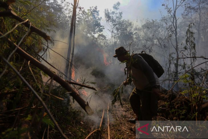 Kebakaran hutan di lereng Gunung Ciremai 