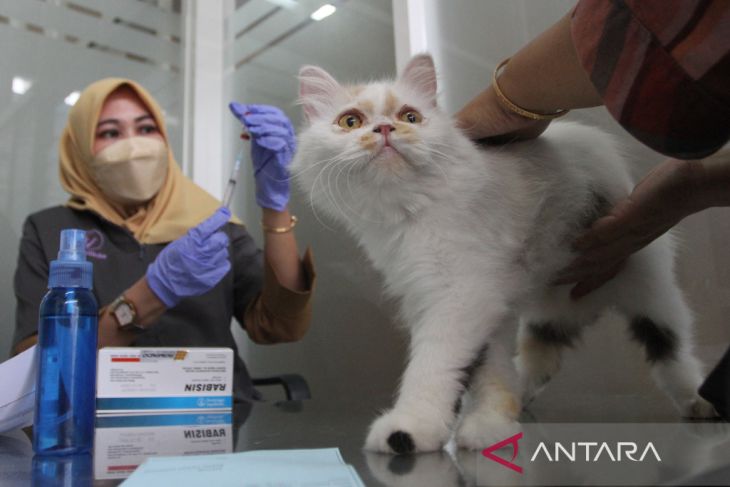 Peringatan Hari Rabies Sedunia di Malang