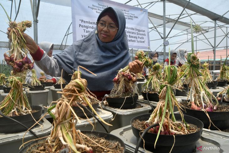 Komisi X DPR ajak perempuan Kaltim jadi penggerak inovasi daerah