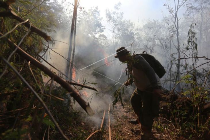 Kebakaran Hutan Di Lereng Gunung