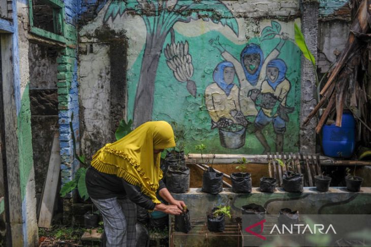 Memanfaatkan ruang sempit untuk berkebun 