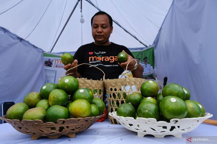 PAMERAN PRODUK UNGGULAN DI PERBATASAN