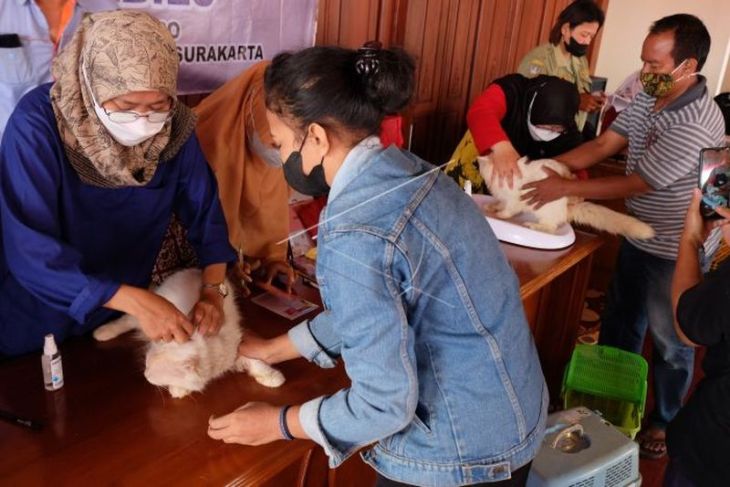 Vaksinasi rabies gratis bagi hewan peliharaan