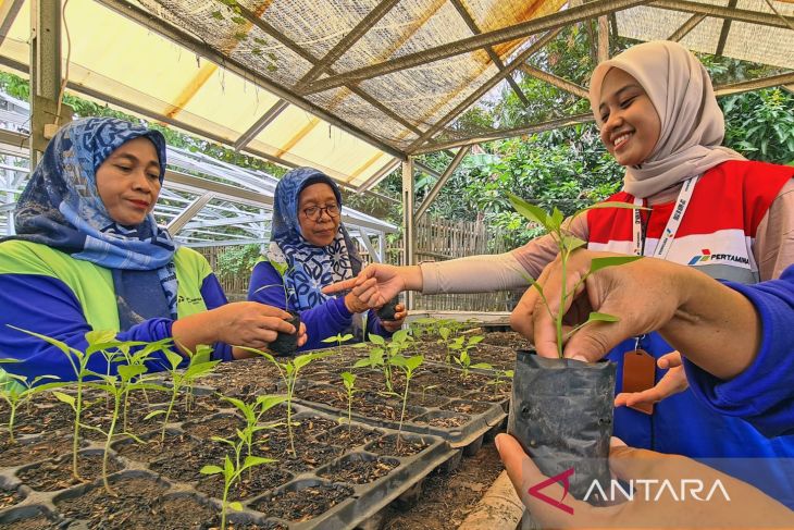 Menyulap lahan pekarangan menjadi urban farming