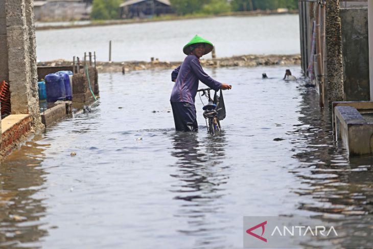 Banjir rob di Indramayu