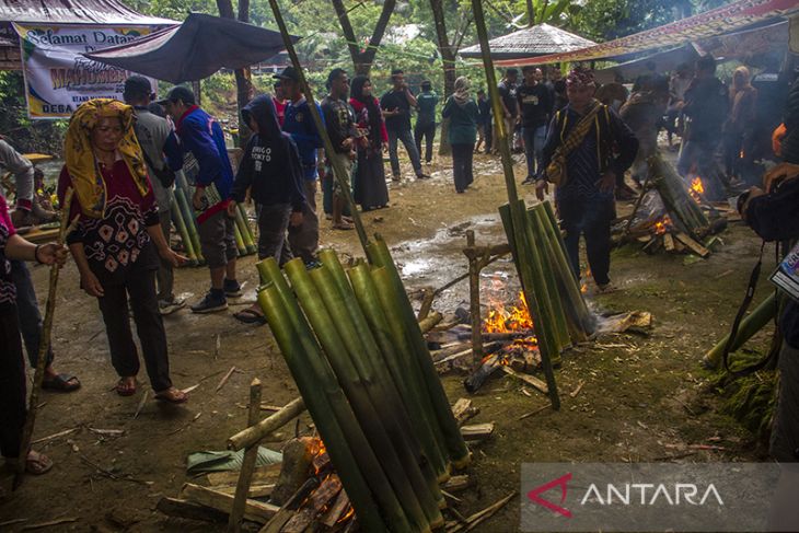 Tradisi Mahumbal Khas Dayak Meratus