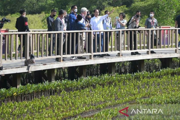 Presiden Jokowi ajak wartawan berkeliling Tahura Ngurah Rai