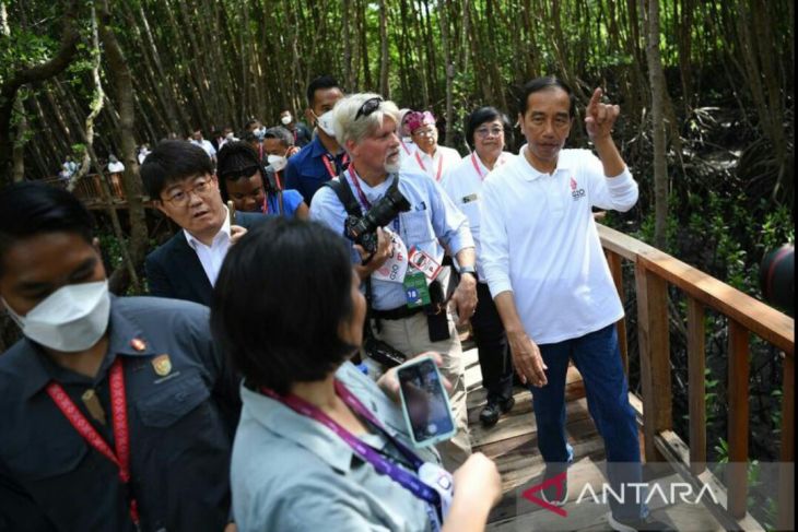 Presiden Jokowi ajak wartawan berkeliling Tahura Ngurah Rai