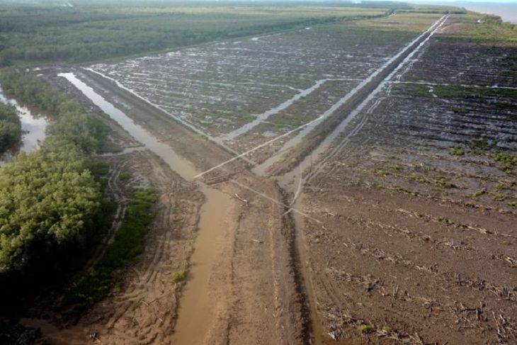 Kawasan mangrove rusak