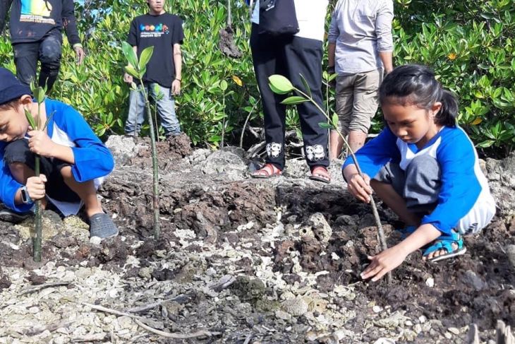 BPDASHL dan warga Desa Dambalo tanam 45 ribu bibit  mangrove