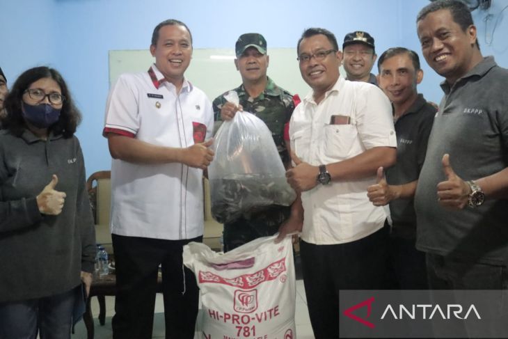 Wali Kota Bekasi bagikan 50.000 bibit ikan lele kepada kelompok tani