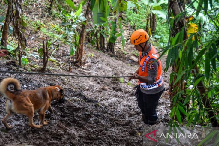 Pencarian korban longsor dengan anjing pelacak 