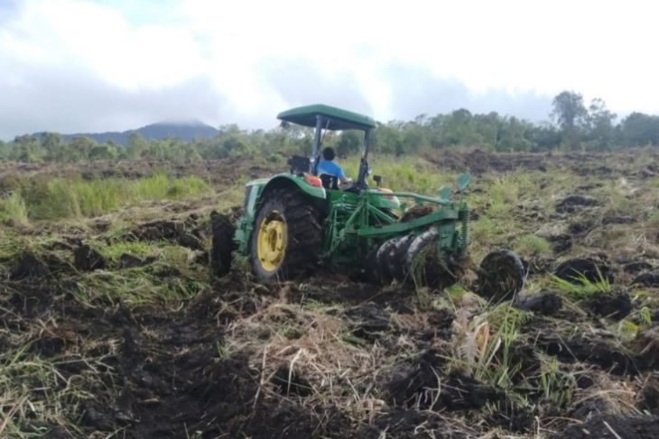 Lahan food estate seluas 50 hektare di Pakpak Bharat mulai dikerjakan