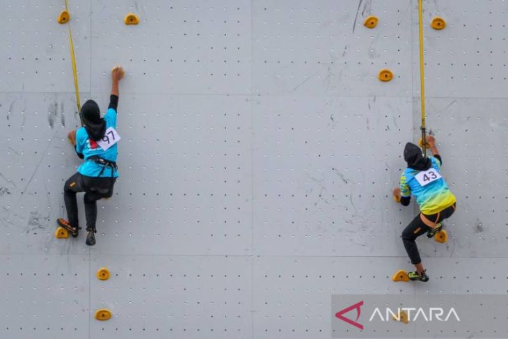 Dispora: Cabor panjat tebing Tangerang penyumbang medali terbanyak