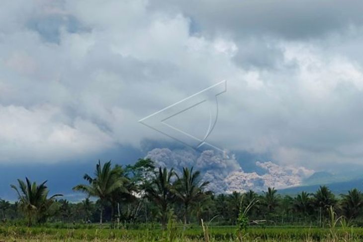 Gunung Semeru Erupsi