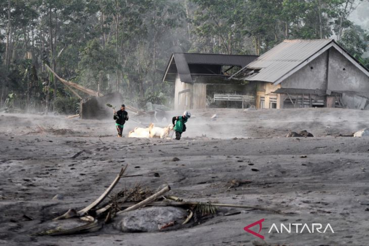 Dampak APG Gunung Semeru