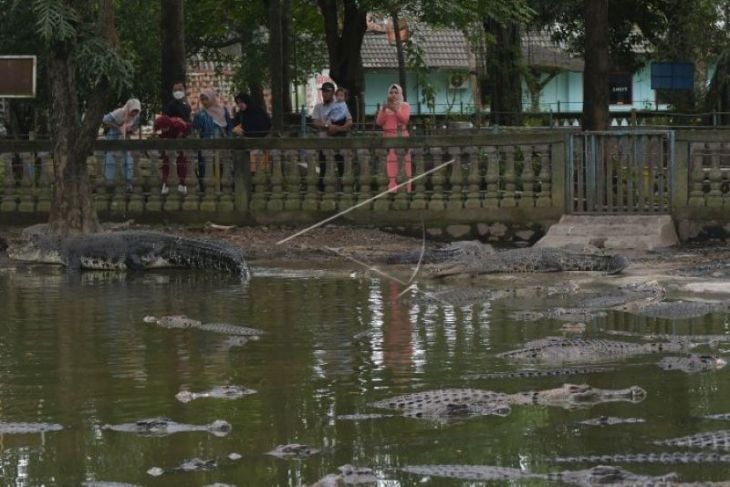 Wisata Taman Buaya di Bekasi